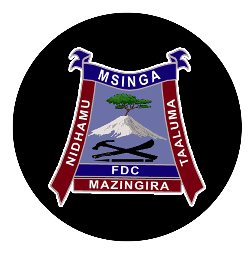 Msinga Folk Development College Logo