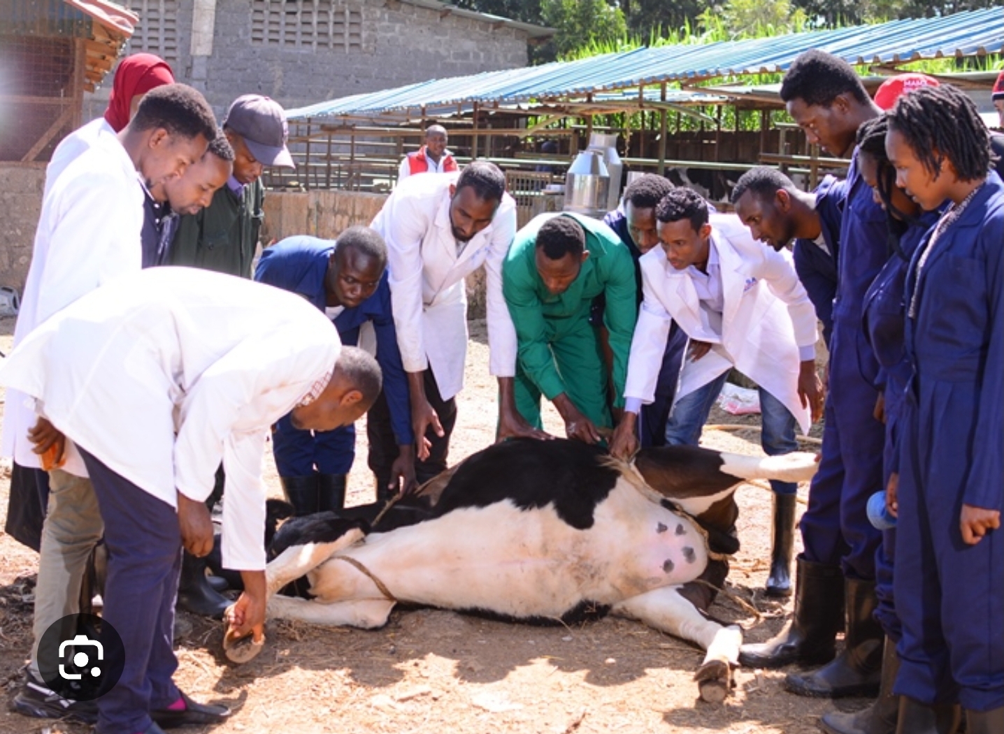 Animal Husbandry